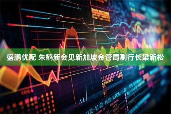 盛鹏优配 朱鹤新会见新加坡金管局副行长梁新松