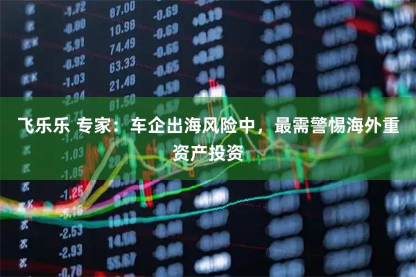 飞乐乐 专家：车企出海风险中，最需警惕海外重资产投资