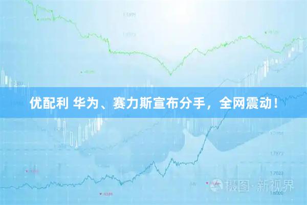 优配利 华为、赛力斯宣布分手，全网震动！