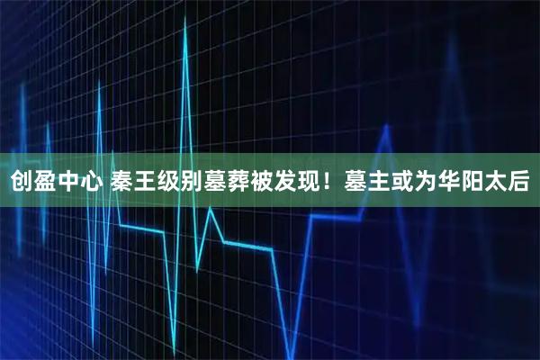 创盈中心 秦王级别墓葬被发现！墓主或为华阳太后