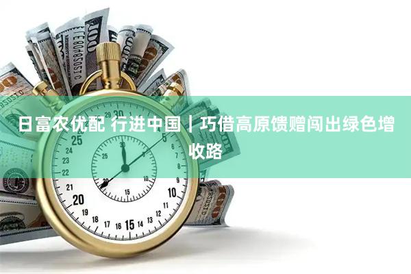 日富农优配 行进中国｜巧借高原馈赠闯出绿色增收路